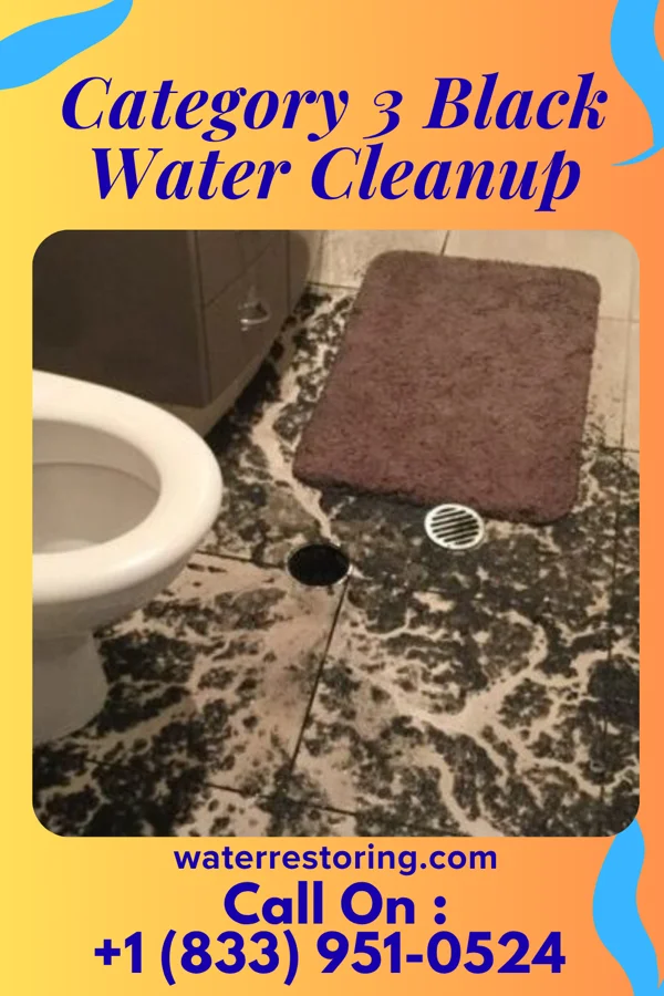 Category 3 Black Water Cleanup in Madison, GA